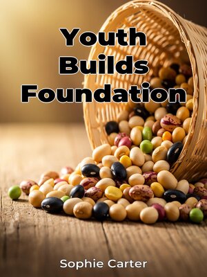 cover image of Youth Builds Foundation